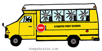 Synapse Prep School