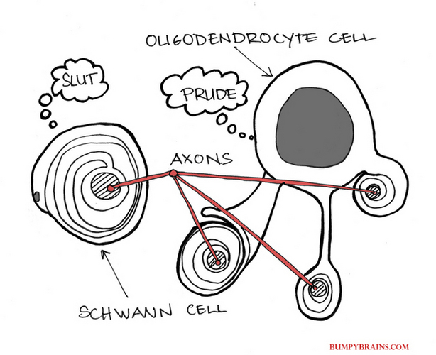 What Glial Cells Think Of Each Other