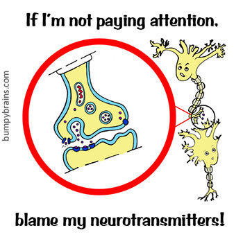 Blame It On My Neurotransmitters