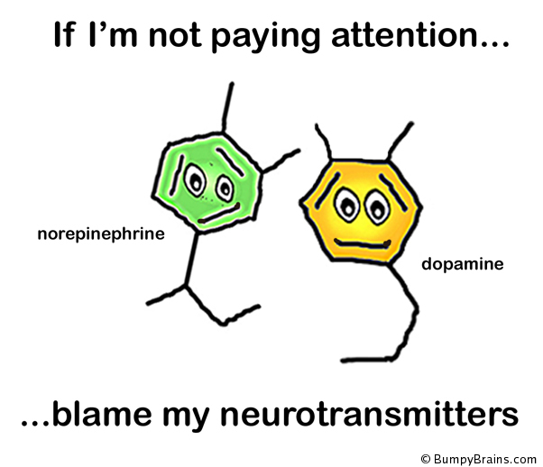 If I'm not paying attention, blame my neurotransmitters
