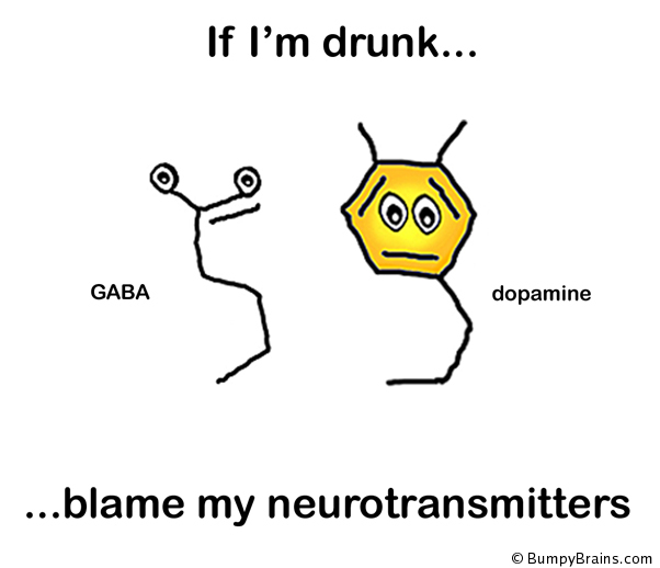 If I'm drunk, blame my neurotransmitters