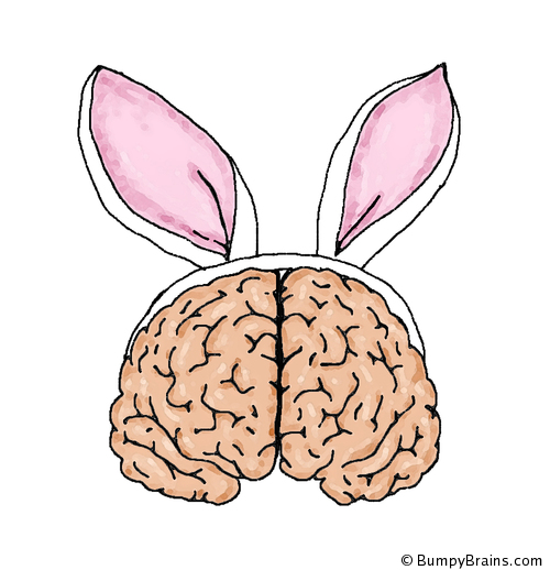 Bunny Brain