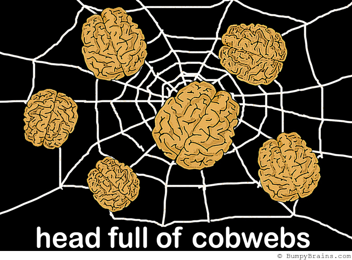 head full of cobwebs