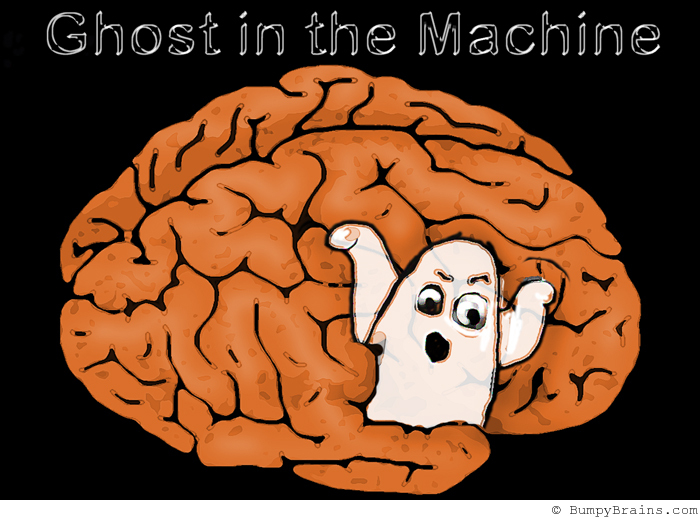 Ghost in the Machine