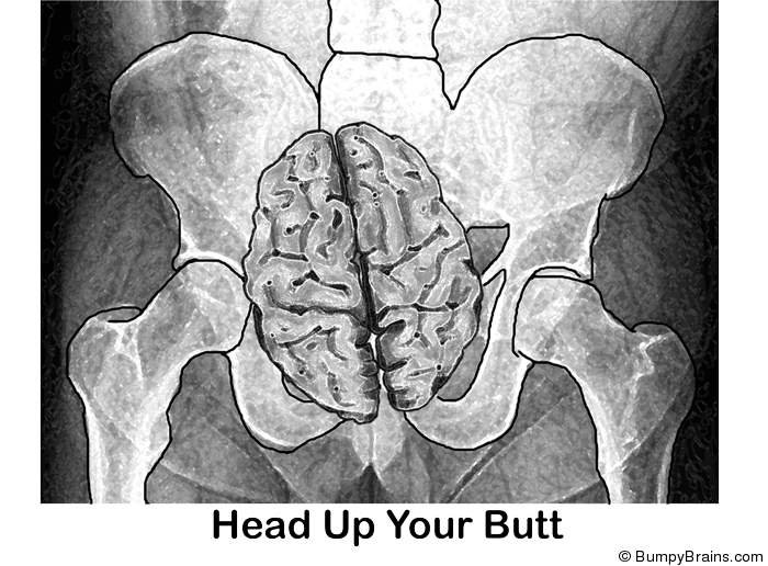 Head Up Your Butt