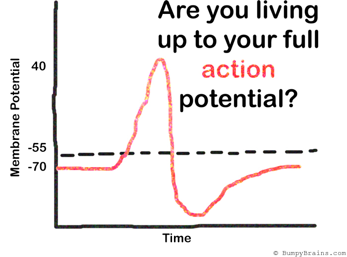 Living Up To Your Full Action Potential