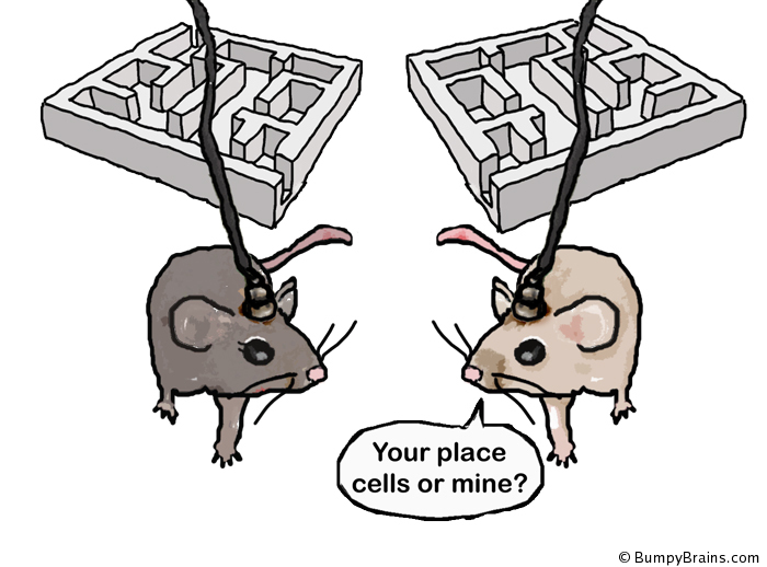 Your Place (Cells) or Mine?