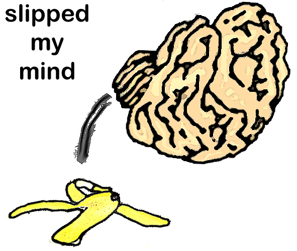 Bumpy Brains: slipped my mind